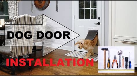 Smart (electronic) pet doors use modern smart technology to increase security and convenience for you and give your cat or dog the freedom they deserve. How to install Pet door, Dog door installation - YouTube