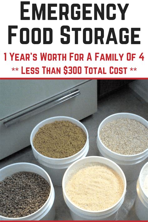 We did not find results for: 1 Year Emergency Food Storage For A Family Of 4 For Less ...