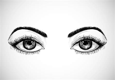 Hand Drawn Sketched Eyes 1335291 Vector Art At Vecteezy