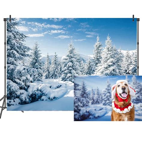 Buy Csfoto Polyester 7x5ft Winter Scene Photo Backdrop Winter Ain