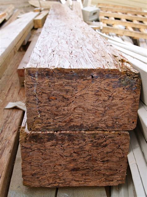 Looking for the definition of psl? Urban Wood Waste - Parallam (PSL) | Parallam Strand Lumber ...