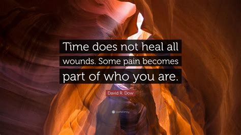David R Dow Quote Time Does Not Heal All Wounds Some Pain Becomes