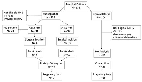 J Imaging Free Full Text Restoration Of Uterine Cavity Measurements After Surgical Correction