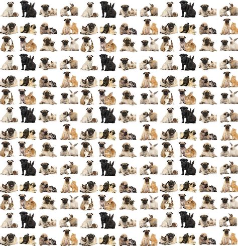 Use This Pattern To Make A Cute Pug Background For Your Twitter Or Blog