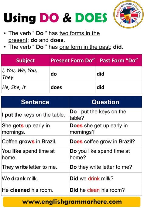 Using Do And Does Definition And Example Sentences Using Do And Does The Verb Do Has Two