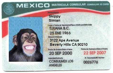The matricula consular is useful in the united states only for illegal aliens, because legal immigrants by definition have legal u.s. Monkey Journalism