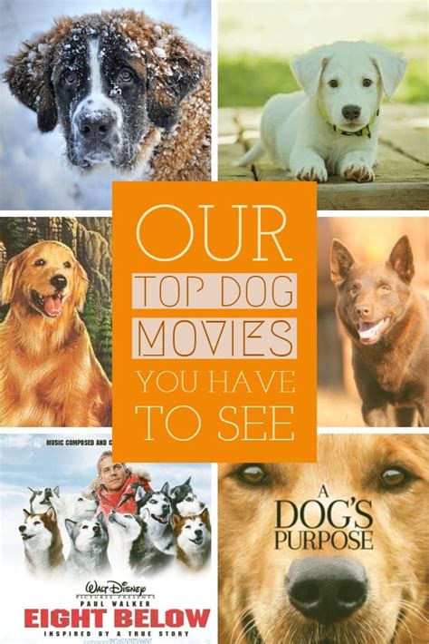 Top 10 Dog Movies Of All Time 2020 Our Personal Fav And Trailers🐶