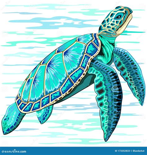 Sea Turtle Turquoise Oceanlife Vector Art Stock Vector Illustration