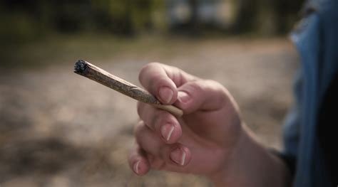 Joints Vs Blunts Which One Is Better For You Pros And Cons