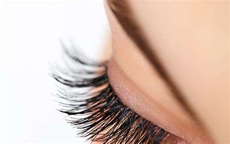 Healthy Eyelashes Blog And Reviews