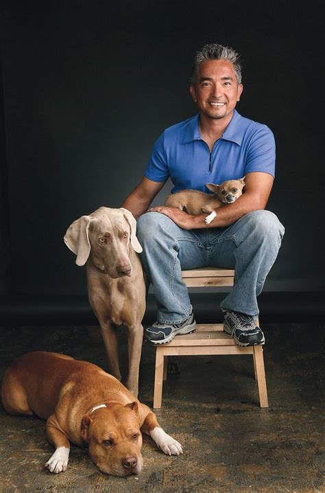 Dog Whisperer Cesar Millan Offers Up Canine Advice And Talks His