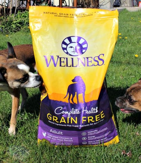 Animal based protein is far superior to plant based in the canine diet. Grain Free Dog Food for Better Health | A Magical Mess