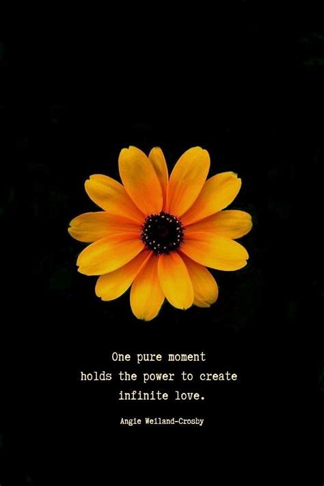 Yellow Flower Quotes Shortquotescc