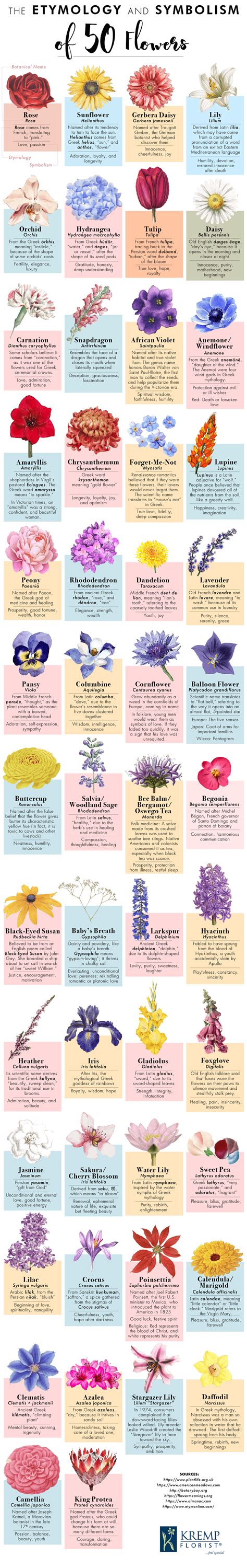 The Etymology And Symbolism Of 50 Flowers Pretty Flower Names