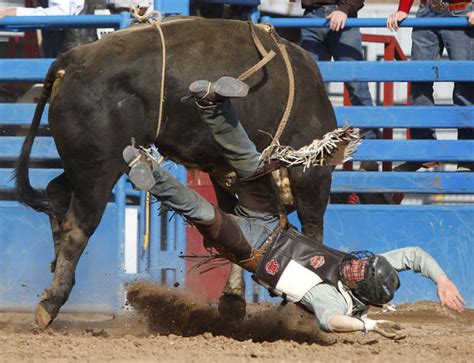 Photos Highlights From The Tucson Rodeo From Feb 21 2014 Rodeo