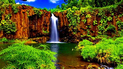 Download Tropical Waterfall Puter Wallpaper Desktop Background By