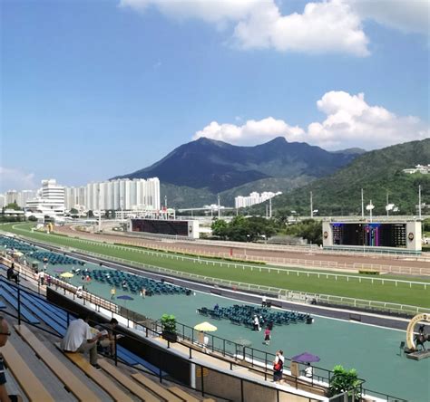 (香港, 中國)沙田馬場 - 旅遊景點評論 - Tripadvisor