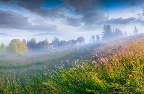 Sunny Summer Morning In The Foggy Mountain Village Stock Image Image