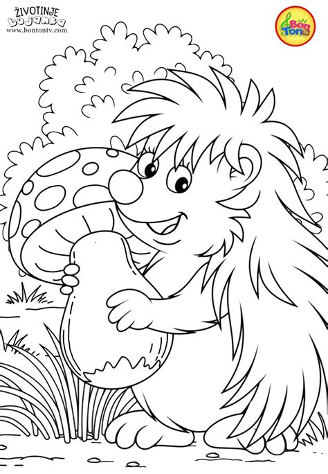 Animals Coloring Pages For Kids Free Preschool Printables Životinje