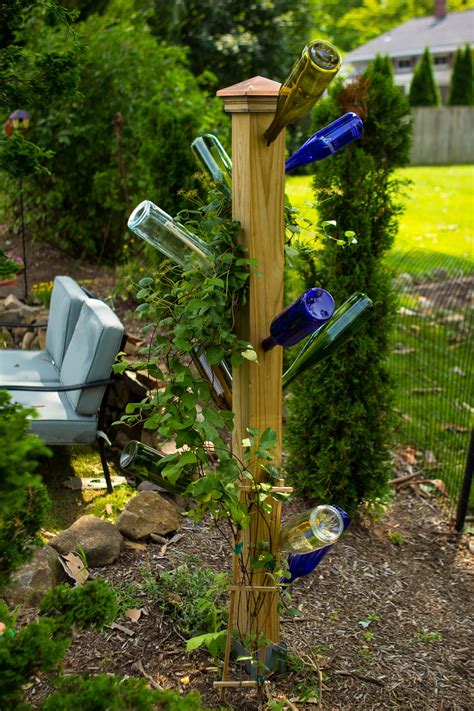 Outdoor Upcycling Build Your Own Bottle Tree