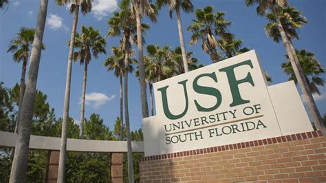 Top 10 Majors At The Usf Oneclass Blog