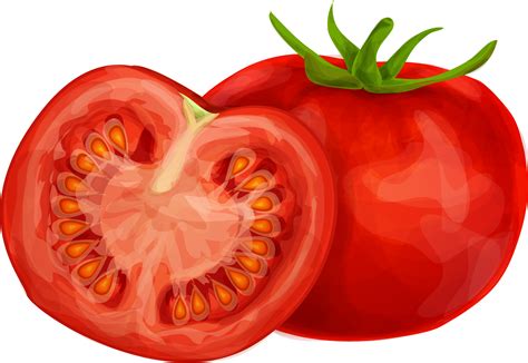 101 Tomato Clipart Clipartlook