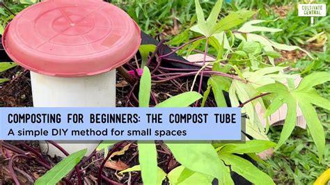 Composting For Beginners The Compost Tube Youtube