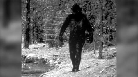 Unsealed Bigfoot File Proves Fbi Tested Mysterious Hair Sample Ctv News