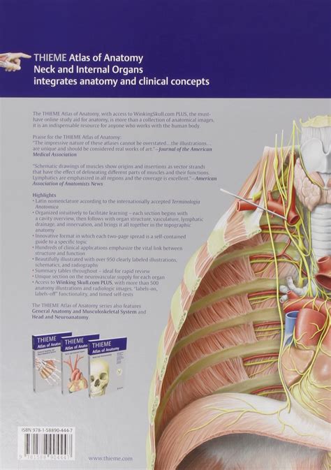 Thieme Atlas Of Anatomy Neck And Internal Organs Udo Schumacher