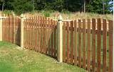 At Wood Fence Pictures