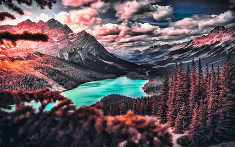 Download Wallpapers Peyto Lake Hdr Autumn Banff National Park