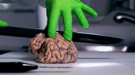Banking Britains Brains The Story Of A Scientific Resource Bbc News