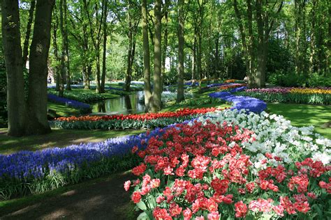 Keukenhof is a park where more than 7 million flower bulbs are planted every year. Keukenhof - Wikipedia