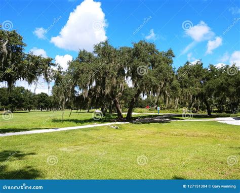 Twin Lakes Park In Sarasota Florida Under A Bright Sunny Blue Sky With