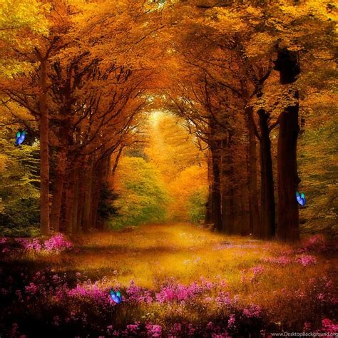 Enchanted Forest Premade Backgrounds By Virgolinedancer1 On Deviantart