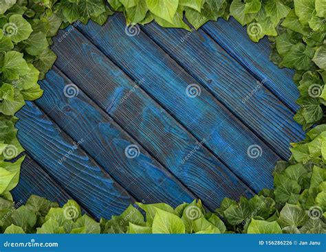 Wood Texture Background Ivy Stock Photo Image Of Plate Nature