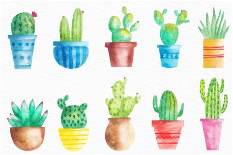 Watercolor Cactus Illustration Cactus Pots Clipart 716425