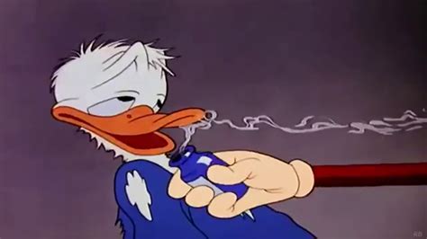 Donald Duck Cured Duck 1945 Hd Youtube
