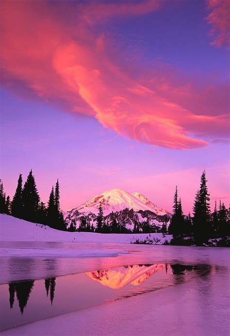 Winter Mountains Forest Snow Pink Sky Peaceful