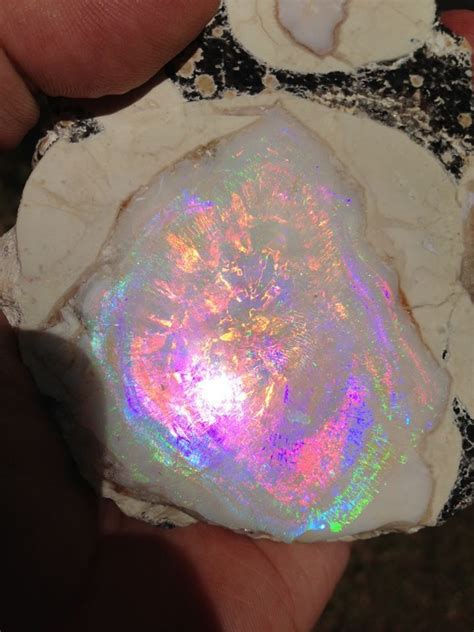 Geyser Opal From Spencer Idaho Is An Opal Created By A Geyser