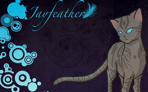 Jayfeather Wallpaper By Shatterwing123 On Deviantart Warrior Cats