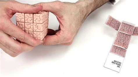 The Brain Cube Youtube