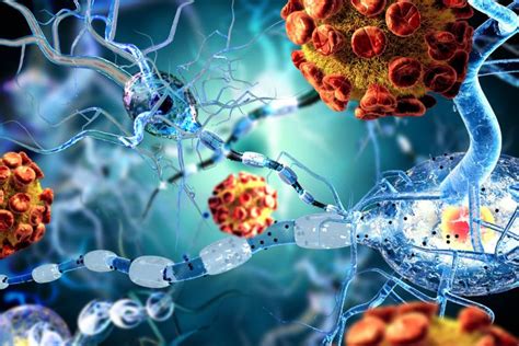 Neural Stem Cell Treatment May Offer Relief For Ms Drug Target Review