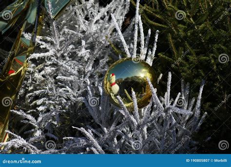 Beautiful Snowy Branch Of A Christmas Tree Decorated With Gold Ball