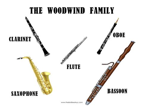 Instrument Families Woodwind Instrument Woodwind
