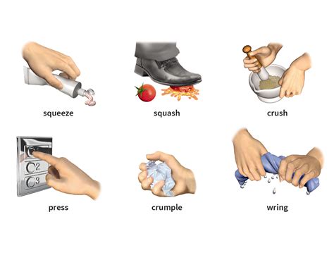 Squeeze Verb Definition Pictures Pronunciation And Usage Notes