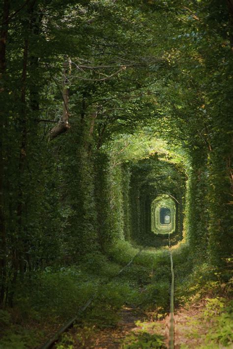 12 Most Dark And Mysterious Places On Earth Nature Aesthetic Green