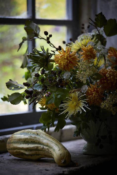 Chrysanthemums Rethinking A Fast Food Flower Gardenista Exotic