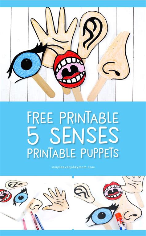 Da die deutsche fernsehlandschaft noch nicht genügend datingshows hat, spendiert uns sat1 eine weitere sendung für einsame herzen: Download These Free Printable 5 Senses For Kids Puppets To ...