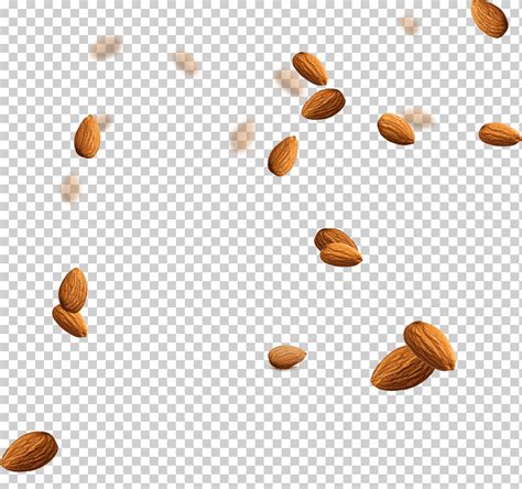 Almendra Nuez Almendra Anacardo Png Klipartz